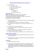 PRESENTACION DE TRABAJO FINAL PRACTICAS I