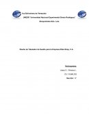 Diseño de Tabulador de Sueldo para la Empresa Zibia Shop, C.A.