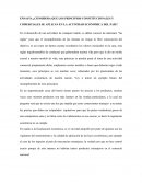Considera que los principios constitucionales y comerciales se aplican en la actividad economica del país?