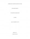 Plan de investigacion.