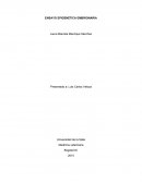 ENSAYO EPIGENÉTICA EMBRIONARIA