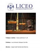 Derecho constitucional mexicano. Casos prácticos 7 y 8