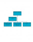 Principio de oficialidad