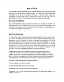 BALISTICA INTERIOR Y EXTERIOR.