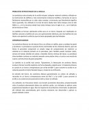 PRODUCTOS ESTRUCTURALES DE LA ARCILLA