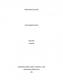 COMPETENCIAS COMUNICATIVAS.El presente trabajo contiene la descripcion de los entornos de informacion inicial
