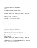 Memoria de recidencias profecionales isc