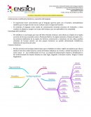 Conformación. Justificación histórica y aparición del lenguaje.