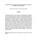 Actividad acuosa de dos paquetes de galletas del mismo lote una expuesta al ambiente y otra en su empaque