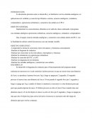 Reporte automatizacion