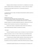 CASO ACEITES DEL SUR