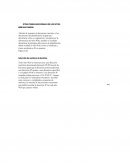 Otras tareas adicionales de los sitios web multimedia