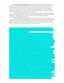 El ser humano es un sujeto biopsicosocial