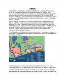 Estamos ubicados en el Parque de la Pequeña y Mediana Industria en la Calle Laguna Machona esq. con Bahía Adair Lote 10 Manzana 1 en Altamira, Tamaulipas.