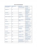 Mapa Mental Educación en Nutrición