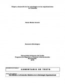 Origen y desarrollo de las estrategias en las organizaciones en Colombia.