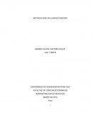 Metodologia de la investigacion.