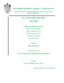 PLAN DE MERCADEO. Proyecto de calidad