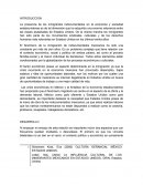 La presencia de los inmigrantes indocumentados en la economía y sociedad estadounidense es de tal dimensión que ha adquirido una enorme relevancia entre las clases asalariadas de Estados Unidos.