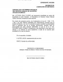 INCIDENTE DE LIQUIDACION DE SENTENCIA