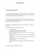 Los Caballero del S.XXI ¿Cómo son los caballeros del S.XXI?