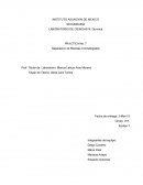 Práctica de Laboratorio "Separación de Mezclas por cromatrografía"