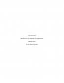 Introducción a los lenguajes de programación, Proyecto Final.
