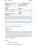 Introducción a la cadena de suministros - Cadena de suministros - Reglas de la cadena de suministros