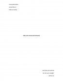 FALLAS COMUNES EN LAS BOCINAS