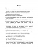 Como debe de ir ensayo, que es y como es