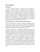 IMPACTO AMBIENTAL.