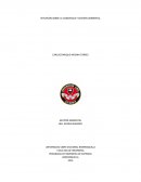 REFLEXIÓN SOBRE LA CONCIENCIA Y GESTIÓN AMBIENTAL