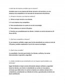 ¿Qué tipo de empresa considera que es Amazon?