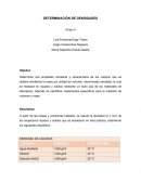 DETERMINACIÓN DE DENSIDADES