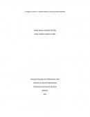 El negocio como un sistema abierto y proceso administrativo