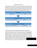 Bloque Nutricional Para Bovinos