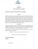 El alcance horizontal en el tiro parabólico