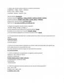 Analiza cada reacción química, balancea y contesta correctamente