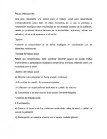 ÁREAS EMERGENTES. Página 1