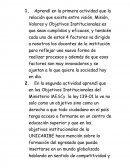 Aprendí en la primera actividad que la relación que existe entre visión, Misión, Valores y Objetivos Institucionales es que sean cumplidos y eficaces