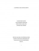 LA EMPRESA COMO SISTEMA ABIERTO