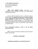 MARIA LUCIA RAMIREZ FLORES, promoviendo con la personalidad de tercero interesado, ante usted y con el debido respeto comparezco para exponer;