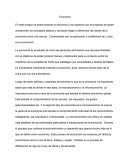 Economia Ensayo.