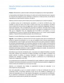 Proceso de despido individual.