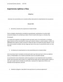 Reconocer las características de un estado de flow observando el comportamiento de una persona.