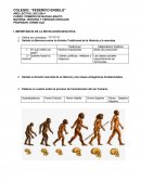 IMPORTANCIA DE LA REVOLUCIÓN NEOLITICA.