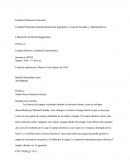 Unidad Profesional Interdisciplinaria de Ingeniería y Ciencias Sociales y Administrativas Laboratorio de Electromagnetismo