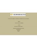 Cuadro analitico procesos cognitivos superiores.