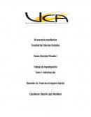 Derecho es el conjunto de normas que imponen deberes y normas que confieren facultades