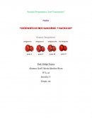 Obtención de tipo sanguíneo y factor RH